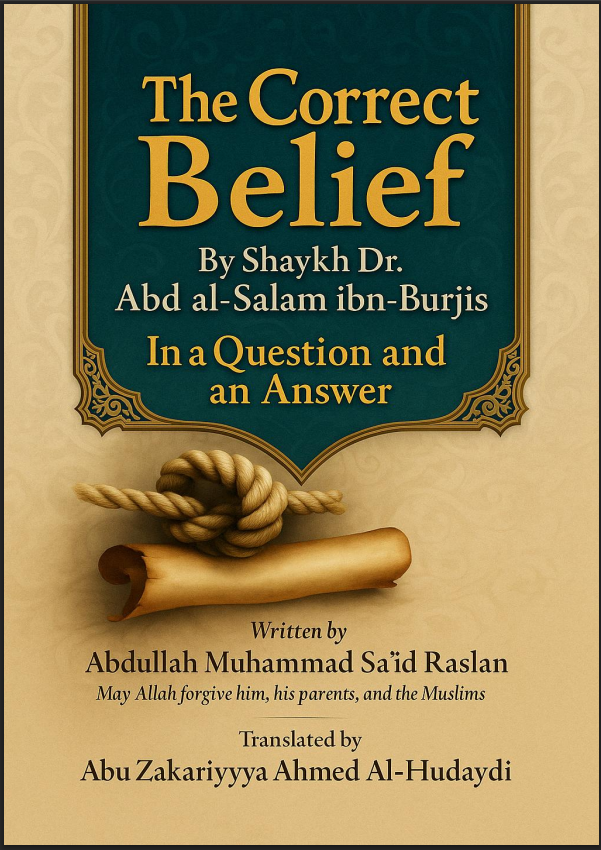 Cover of The Correct Belief